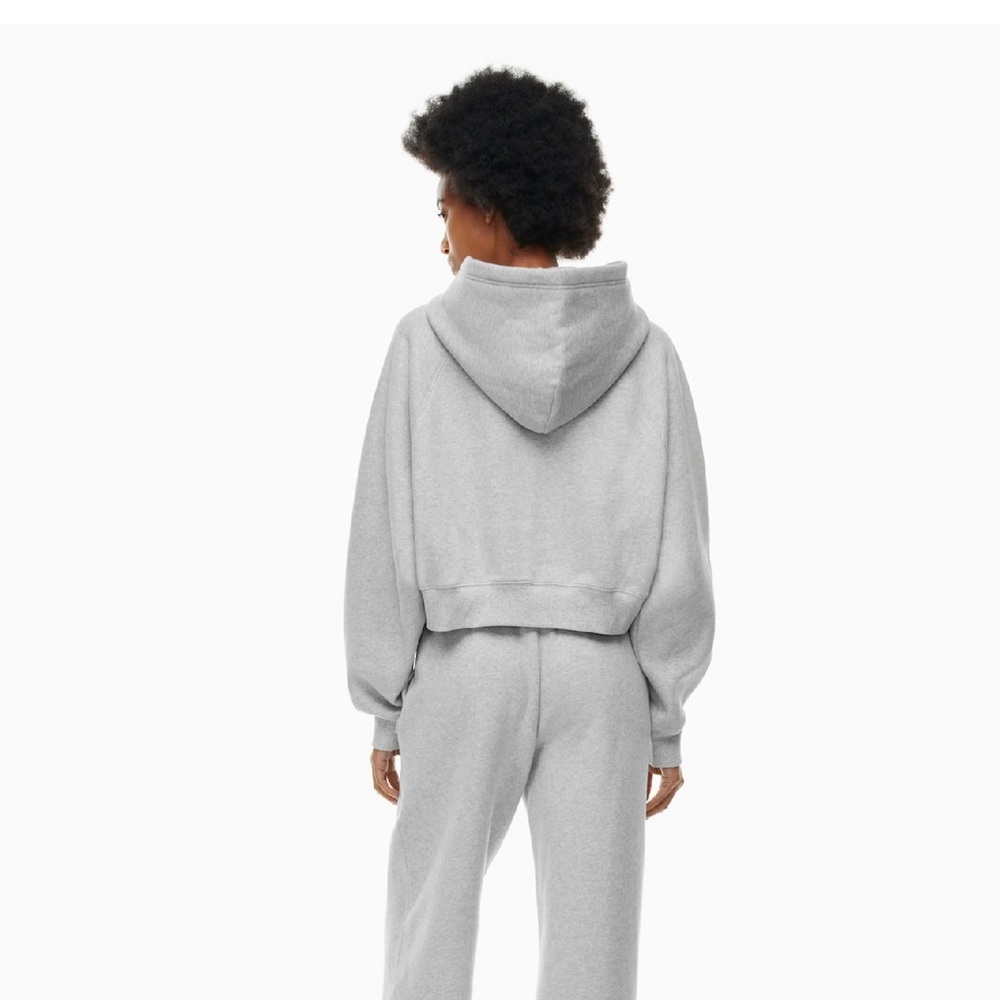 Aritzia Cozy Fleece Mega Raglan Cropped Hoodie - Picture 4 of 9